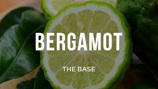 [CI-001] BERGAMOT(베르가못) | 햇살