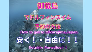 個人手配でお安く行く、御蔵島ドルフィンスイムの旅 how to