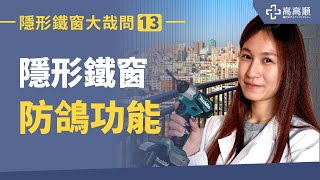 隱形鐵窗大哉問【13】隱形鐵窗防鴿功能