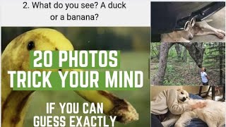 20 photos that will trick your mind 👍 😁 ഒറ്റ നോട്ടത്തിൽ മനസ്സിലാകാത്ത ചിത്രങ്ങൾ