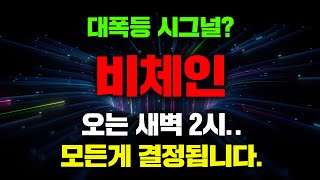 대폭등 시그널? 비체인 오는 새벽 2시.. 모든게 결정됩니다. #비체인코인전망 #비체인급등