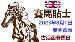 賽馬貼士 英國賽事 (2023年8月1日) [古活盃賽馬日]