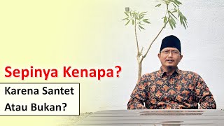 Cara Membedakan Warung Sepi Karena Santet atau Memang Murni TIDAK LAKU