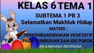 Kelas 6 Tema 1 Subtema 1 Pembelajaran 3 Perkembangbiakan Vegetatif Alami pada Tumbuhan dan Ide Pokok