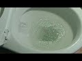 clogged toilet fix using homemade clog remover howtounclogtoilet howtocleantoilet toiletbowl how