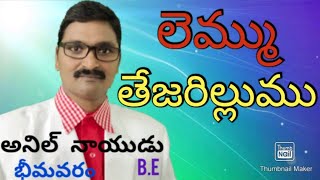 Arise and Shine,లెమ్ము తెజరిల్లుము . పరిశుద్ధాత్మ ప్రేరేపణ తో...                  Joel Ministries