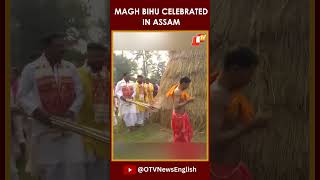 Makar Sankranti 2025: Traditional Harvest Festival ‘Magh Bihu’ Celebrations In Assam