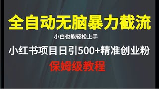 全自动无脑暴力引流 日引500+创业粉   小红薯社群完整版