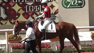 ウインカムトゥルー　2019.6.22　阪神競馬場②