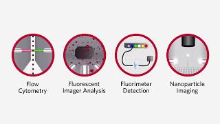 Luminex Detection Methods - Molecular Diagnostics \u0026 Life Sciences