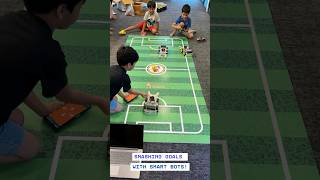 Summer Camp 2025 - Robotics, Coding & AI Classes for Kids - RoboticSchools