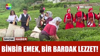 Bahçeden bardağa çayın yolculuğu