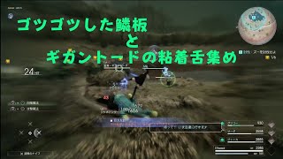 FF15戦友 【ゴツゴツした鱗板8個とギガントードの粘着舌99個】集め✨