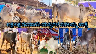 ಲಕ್ಷ ಲಕ್ಷ ರೂಪಾಯಿ ಯತ್ತುಗಳ ಸಪಲಮ್ಮ ಜಾತ್ರೆ Sapalamma fair of Yaths worth lakhs of rupees