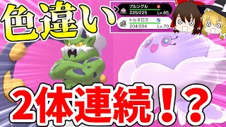 【ポケモン剣盾】まさかの2体連続色違い！？トルネロスの色粘りをしていた時に起こった奇跡の瞬間！！【ゆっくり実況】