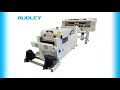 Adley DTF TY-300 - 30CM A3 Printer