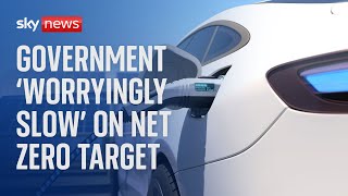Net Zero: Government progress on meeting commitments 'worryingly slow', report finds