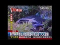 梨山休旅車墜40米山谷　7人受傷