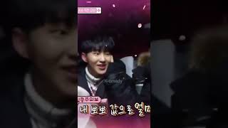 🤣 When Mingyu kissed Hoshi 😍 (Seventeen funny moments)