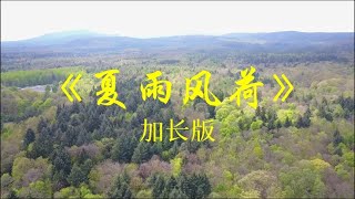 《夏雨风荷》太极拳音乐古筝琵琶葫芦丝演奏，宁心降火，清幽舒缓