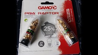 Gamo Raptor .177 cal 5.1 gr Chrono \u0026 Spoon Testing