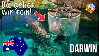 Wir schwimmen mit Krokodilen! 🐊 (Cage of Death) - #012 | Australien