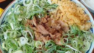 無職が丸亀製麺のトマたまカレーうどん豚肉入りを食べながらライブ配信