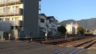 おさんぽなんよ+しまんトロッコ 宇和島駅到着