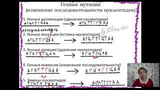 Классификация мутаций. Генная и хромосомная мутации