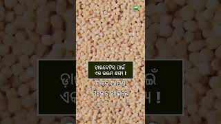 ଡ଼ାଈବେଟିସ୍ ପାଇଁ ଏକ ଉତ୍ତମ ଶସ୍ୟ ! A Slow Release Cereal for Diabetes #sadhguruodia