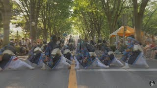 かつみ獅子蓮花 朝霞の森・青葉台 朝霞市民まつり彩夏祭2018