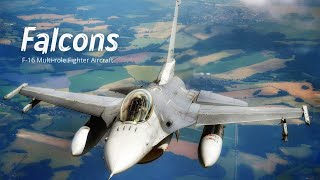F-16 Fighting Falcon - Lockheed Martin Air Combat and Multi Role Fighter