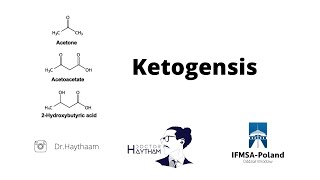 Ketone Metabolism | Biochemistry Year 2 | Test 3 | Wroclaw medical university