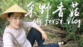 我的第一个vlog！跟着我一起上山采野香菇！【滇西小哥】