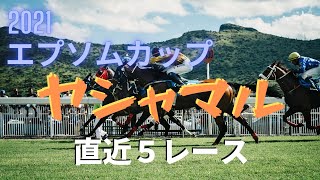 2021【エプソムカップ】ヤシャマル　直近５レース