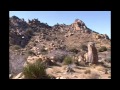 Johnny Lang Canyon in Joshua Tree National Park (MojaveFreePress.com)