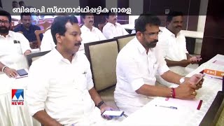 ബിജെപി സ്ഥാനാർഥിപ്പട്ടിക നാളെ; പ്രാഥമികപട്ടിക കേന്ദ്രനേതൃത്വത്തിന് കൈമാറി | ​ BJP candidate List