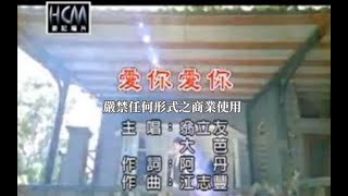 翁立友VS大芭-愛你愛你(官方KTV版)