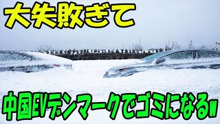 EV先進国デンマークで中国車が大惨敗！撤退の理由は？北欧で中国EVが売れない理由！関係者が明かした驚きの真相!トヨタの正しさが証明された！