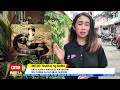 bata patay matapos matuklaw ng cobra sa quezon