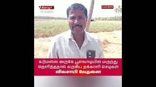 உடுமலை அருகே பூளவாடியில் மருந்து தெளித்ததால் கருகிய தக்காளி செடிகள்: விவசாயி வேதனை