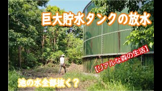 「池の水全部抜く」的な、巨大貯水タンクの放水作業【リアルな森の生活】【ForestLife】Water discharge work in INAHO-FARM「OKINAWA」