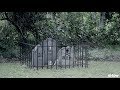 How to Make a Cheap Cemetery Fence for Halloween How to Make a Cheap Cemetery Fence for Halloween