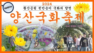 2024 이슈연구소 양산국화축제