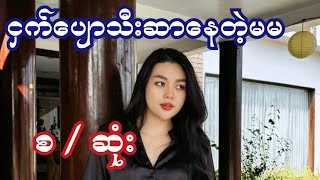 Myanmar Audio Story Book Epidsode ( 13 )