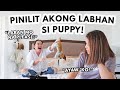 NAGKABALIKTAD! BINAYARAN PARA LABAN SI PUPPY!🤣