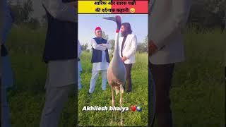 आरिफ और सारस की बेमीशाल दोस्ती 🥺// #shorts #arifaursaras #viral #dosti #arif