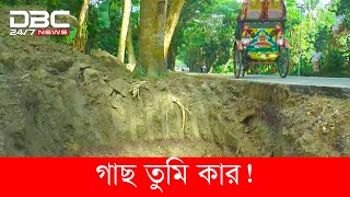 গাছের মালিকানা নিয়ে দ্বন্দ্বে আটকে গেছে সড়ক সম্প্রসারণ কাজ