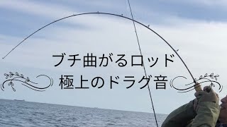 串本モンスター　ブチ曲がるロッドと極上のドラグ音🎶 ジギング ブリード オッターテイル アカキン