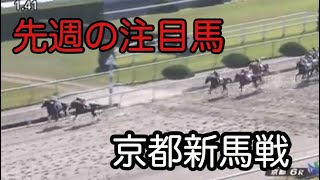 先週の注目馬　京都6R新馬戦